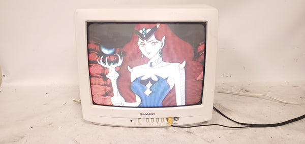 Vintage Retro Gaming Sharp 13N-M150B 14" CRT VGA Color Television Monitor 2001