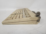 Vintage Wang 200-1081-US FT01 AT Mechanical Computer Keyboard